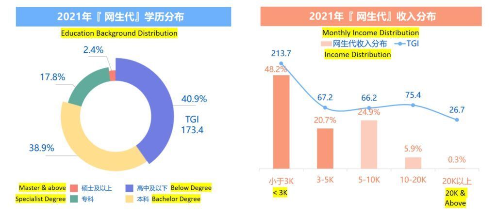 Demographic of chine net generation 2021