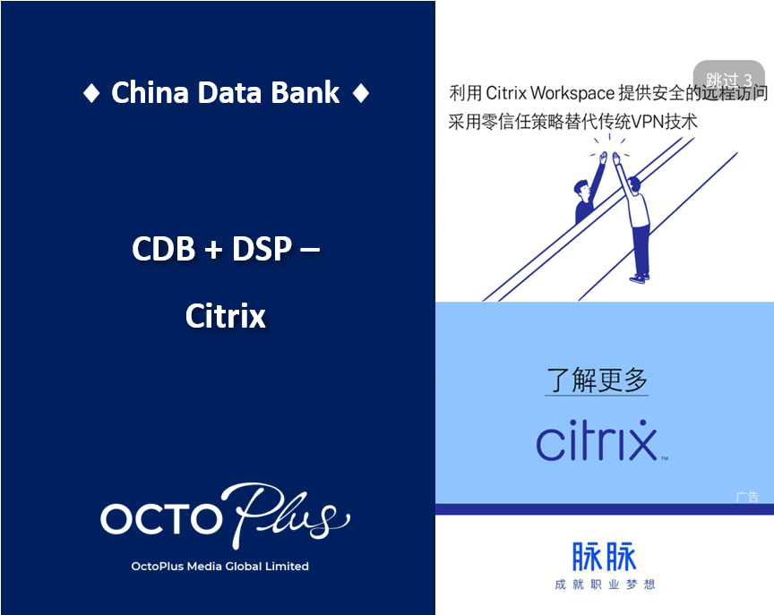 B2B Marketing to Chinese Enterprise C-level China Data Bank Citrix
