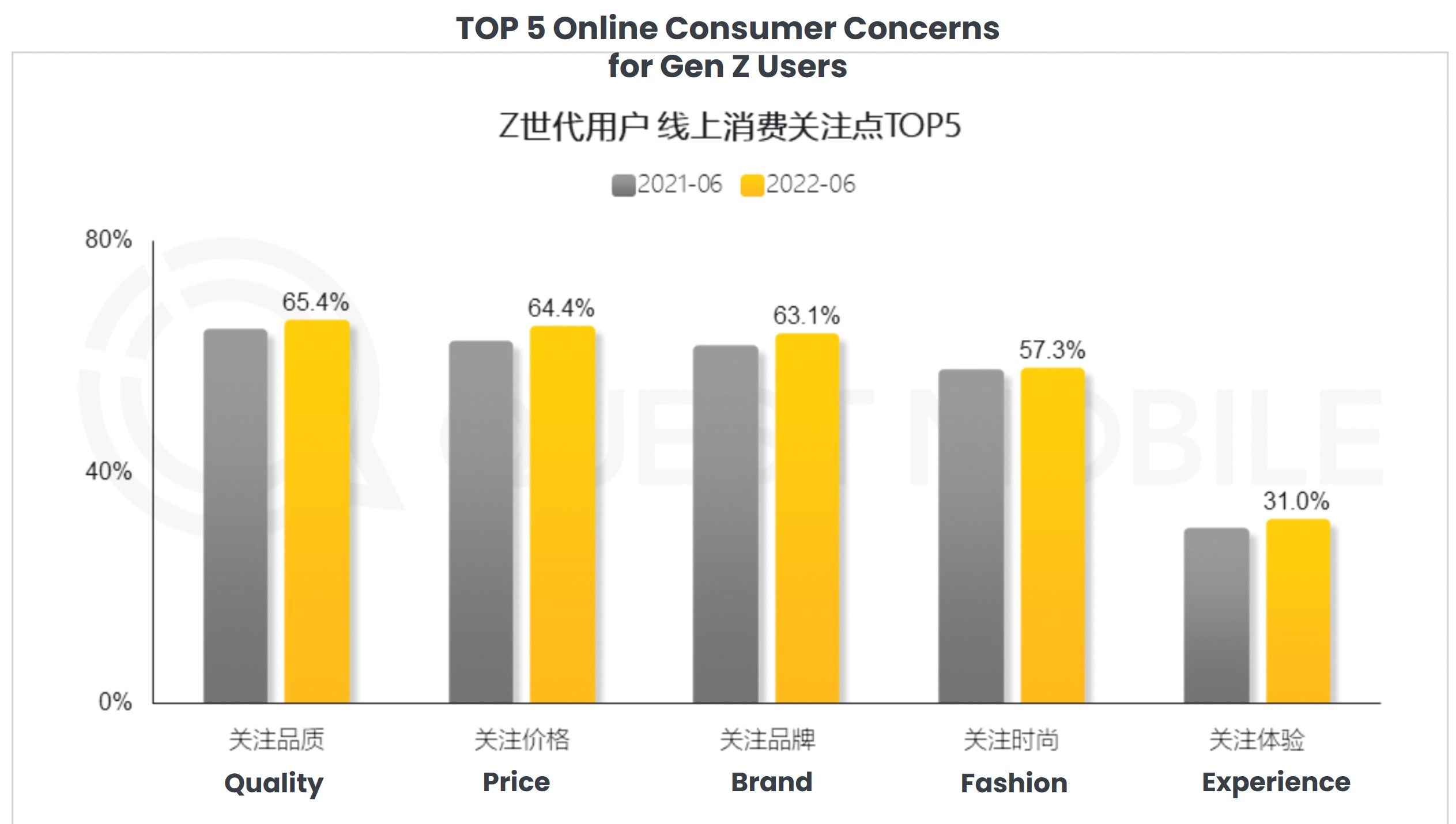 China Internet Native Gen Z Insights Report