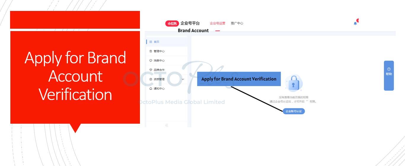 Xiaohongshu brand account verification