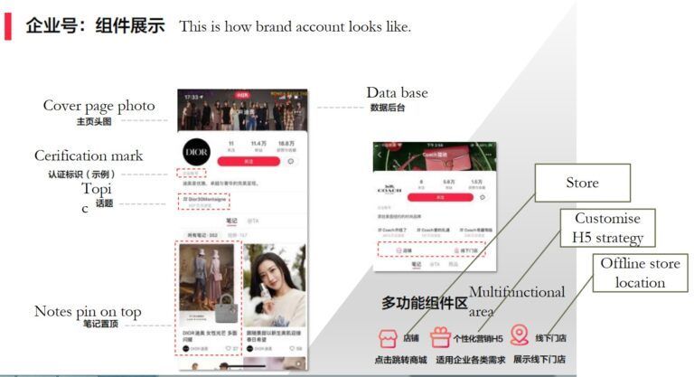 Xiaohongshu brand account example | OctoPlus media