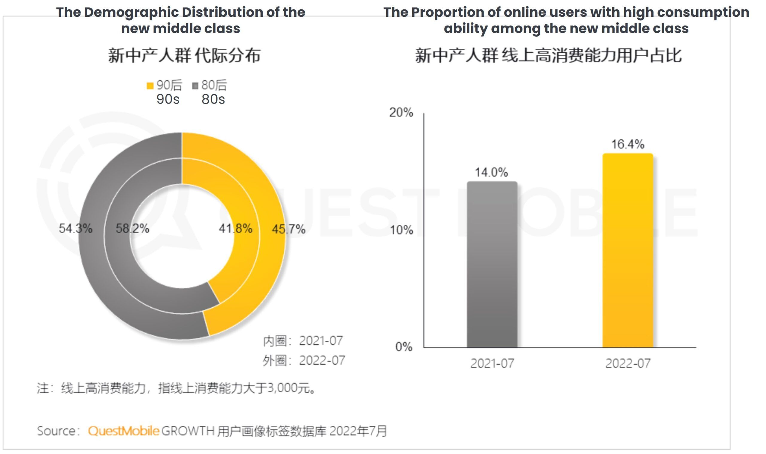 Demographics of new middle class in China