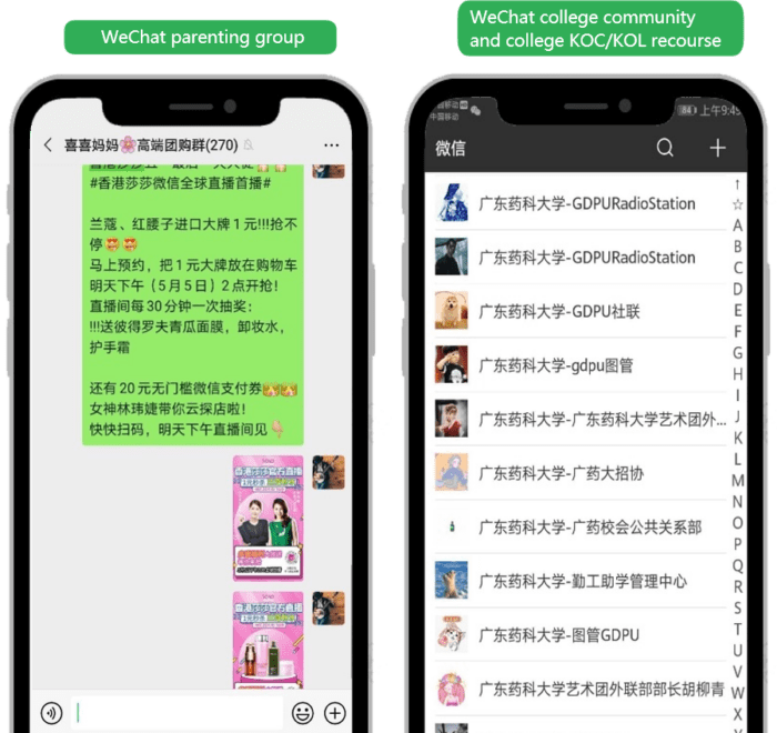 china private traffic, wechat community marketing