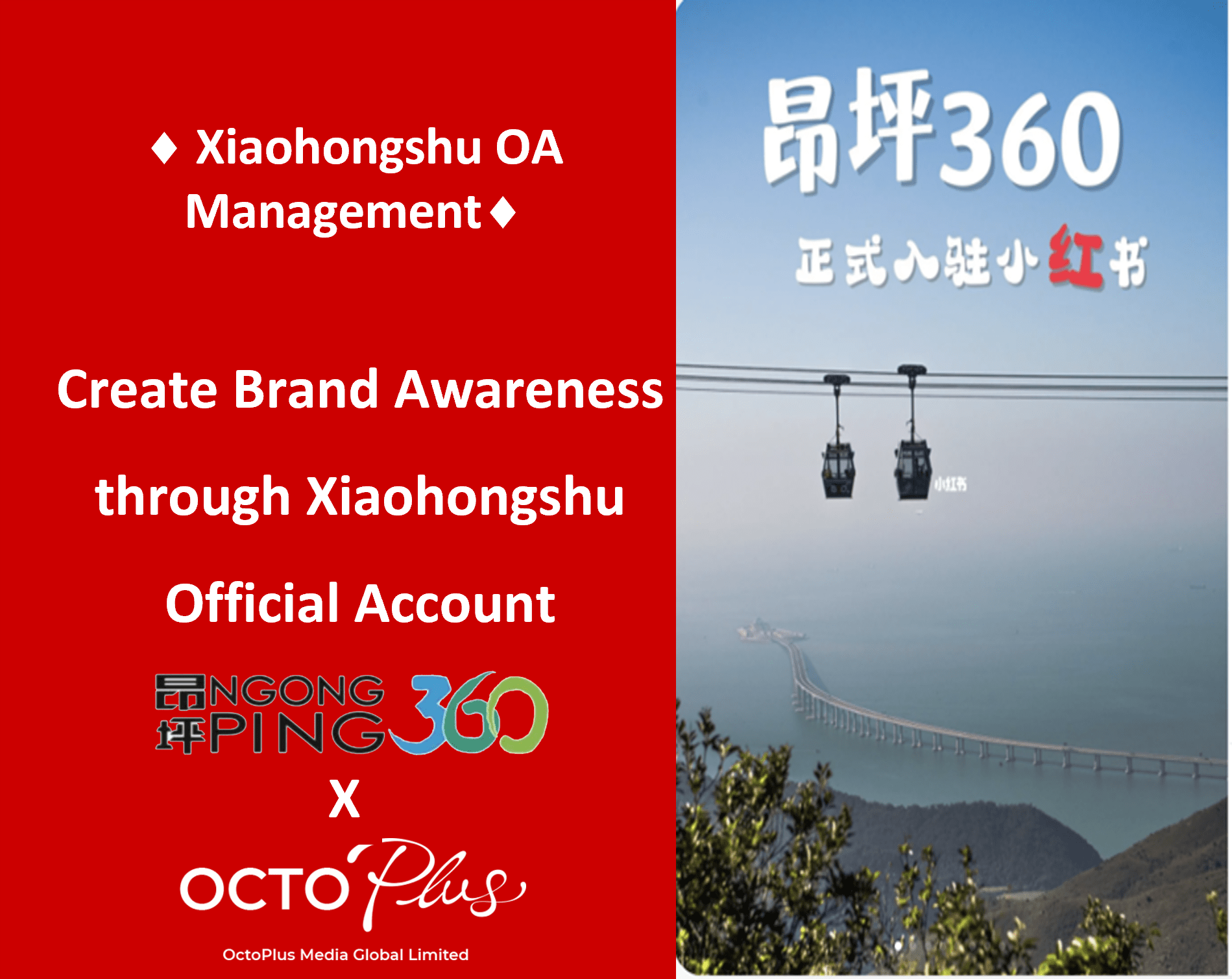 Xiaohongshu OA Management - NP360