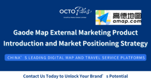 Gaode Map External Marketing Product Introduction and Market Positioning Strategy